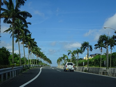 沖縄高速道路