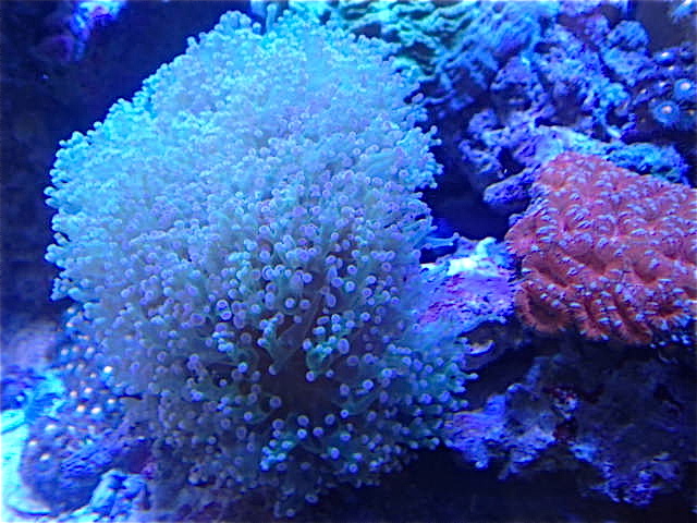 P8060016.jpg