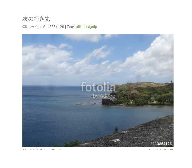 写真4:海入江