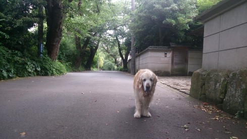 20160703Juty.jpg