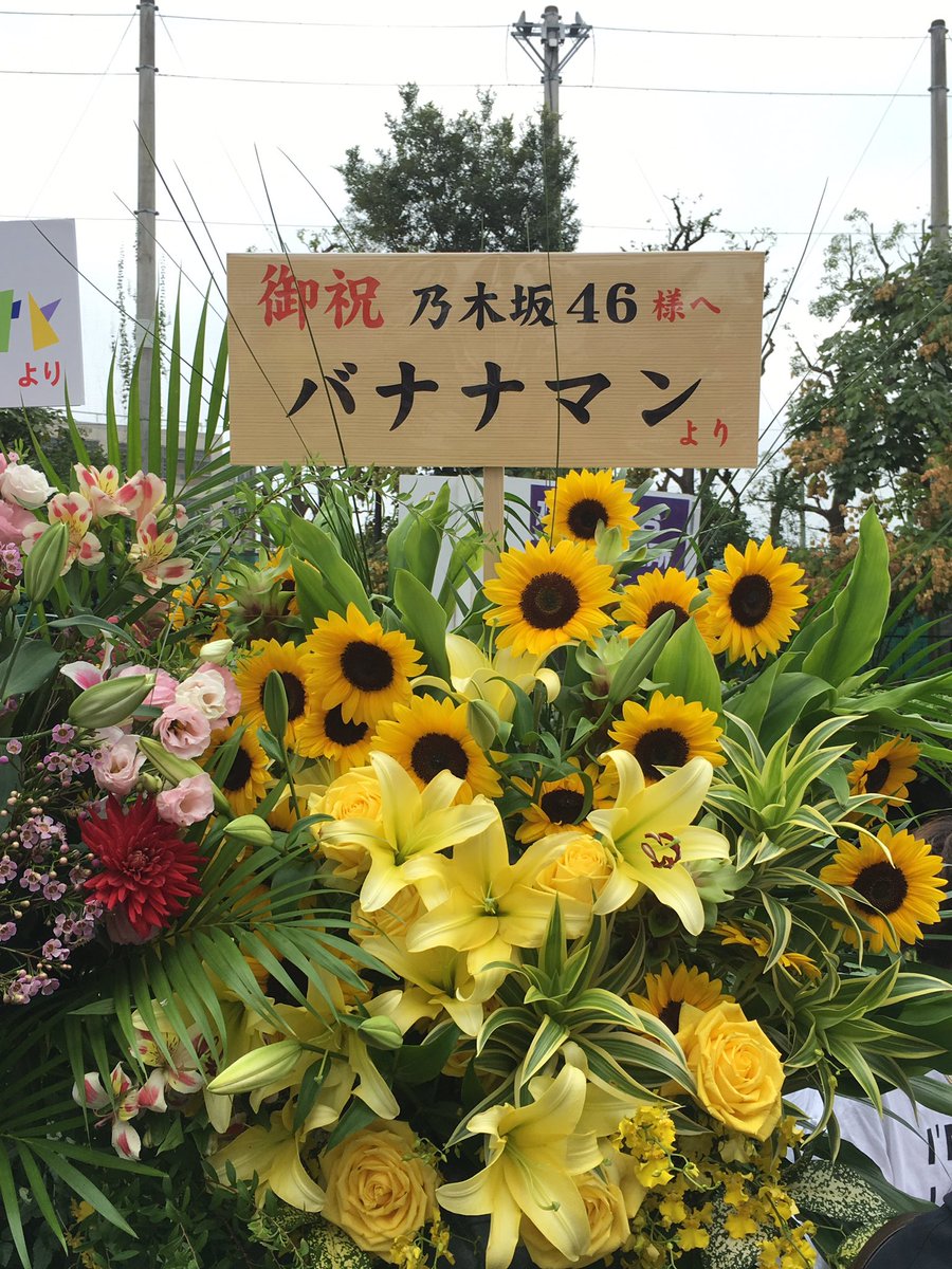 乃木坂46「4th YEAR BIRTHDAY LIVE」DAY1セトリ＆レポまとめ | 生駒ちゃんねる