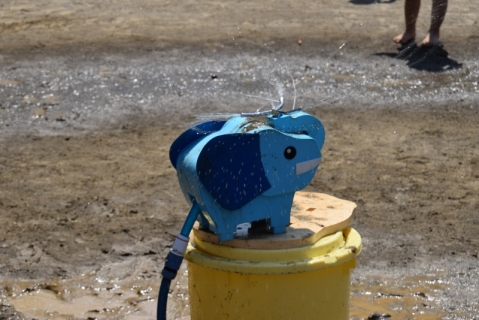 DSC_0295 (800x534)