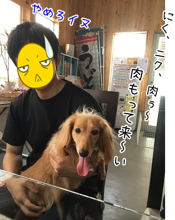 kinako5403.jpg