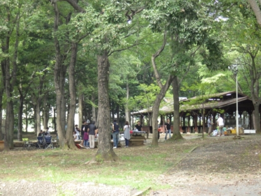 上野沼キャンプ場 (20)