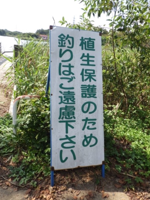 上野沼キャンプ場 (22)