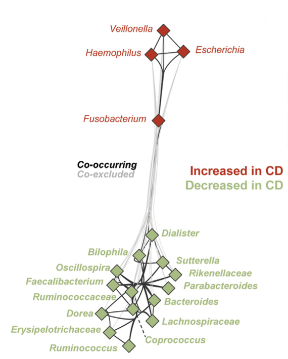 microbial_correlationNetwork_CD.png