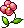 1802570ネンネの花