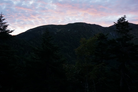 DSC04908.jpg