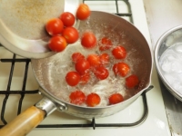 トマトの冷製パスタt08