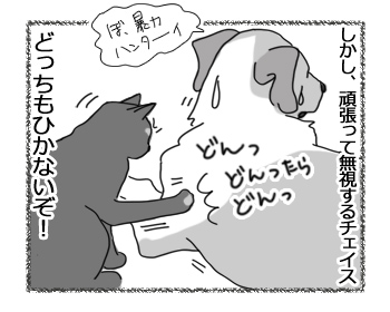 羊の国のラブラドール絵日記シニア!!「なにドン！？」4