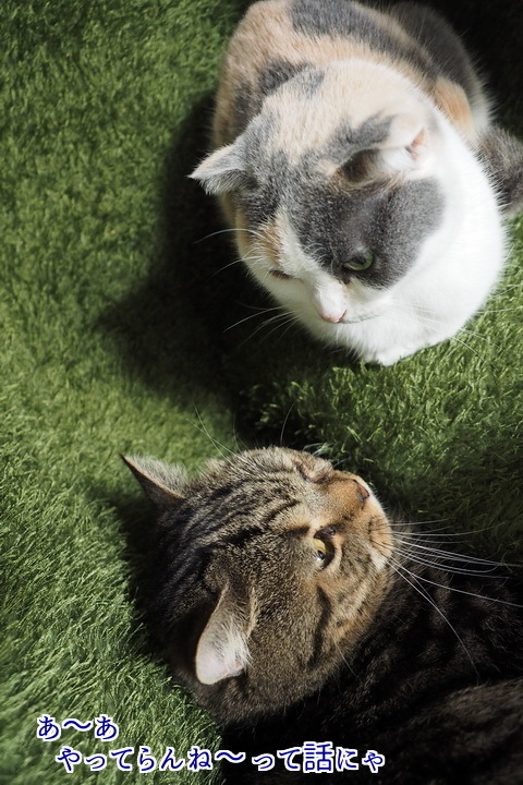 ３やって