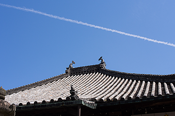 本堂の屋根と飛行機雲