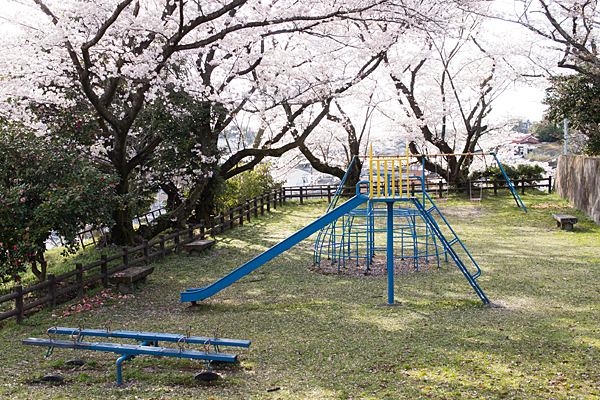 陶祖公園の遊具と桜