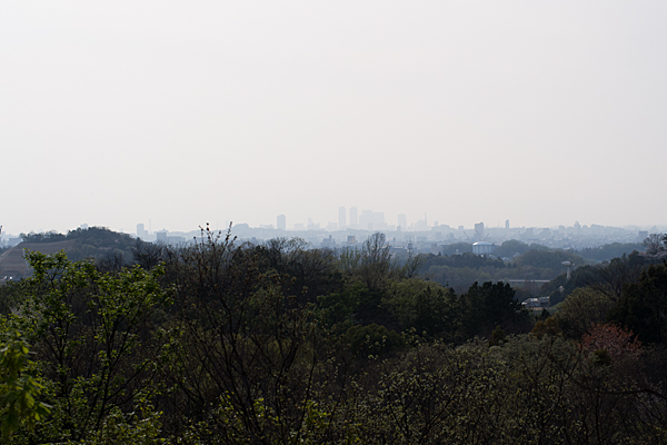 高台から見る名古屋方面
