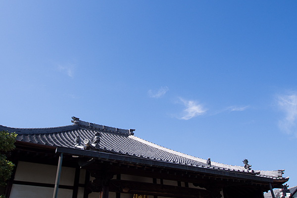 本堂の屋根と初夏の青空