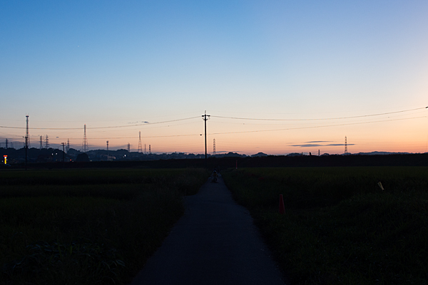 日暮れの矢勝川沿い風景