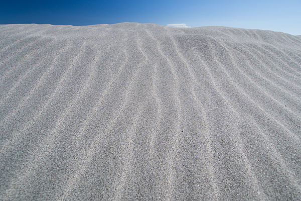 砂丘と風紋