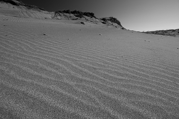 うねる砂丘