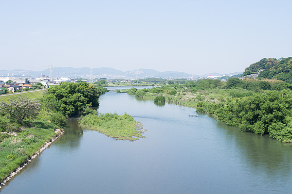 庄内川風景