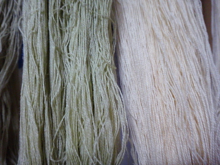 イヌビユで染めた綿糸