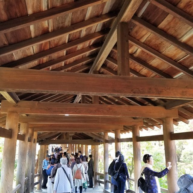 東福寺14
