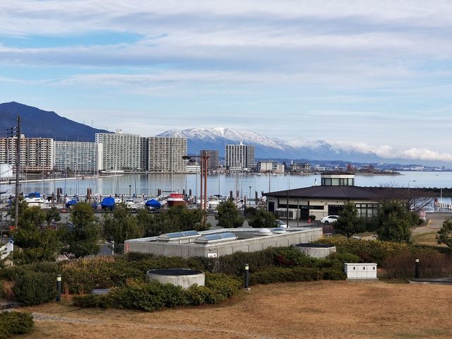 浜大津こだわり朝市1