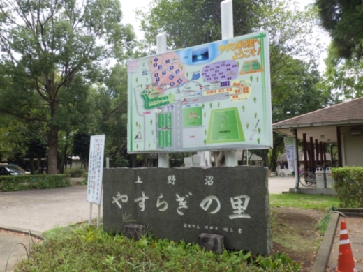 上野沼キャンプ場 (13)