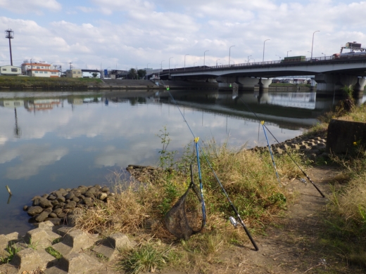 中川の釣り (4)