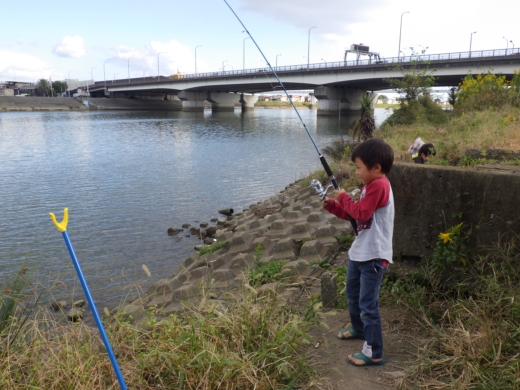 中川の釣り (13)