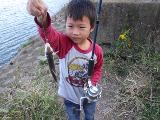 中川の釣り (20)
