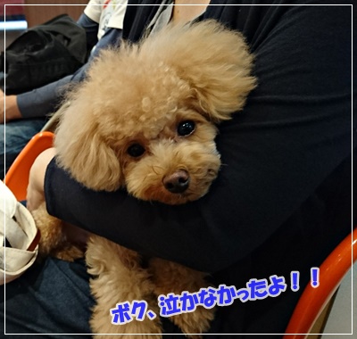 DSC_1582 (2)